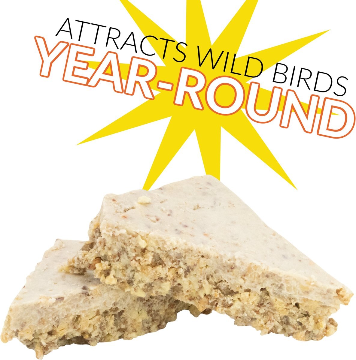 CandS Peanut Treat Suet Wild Bird Food