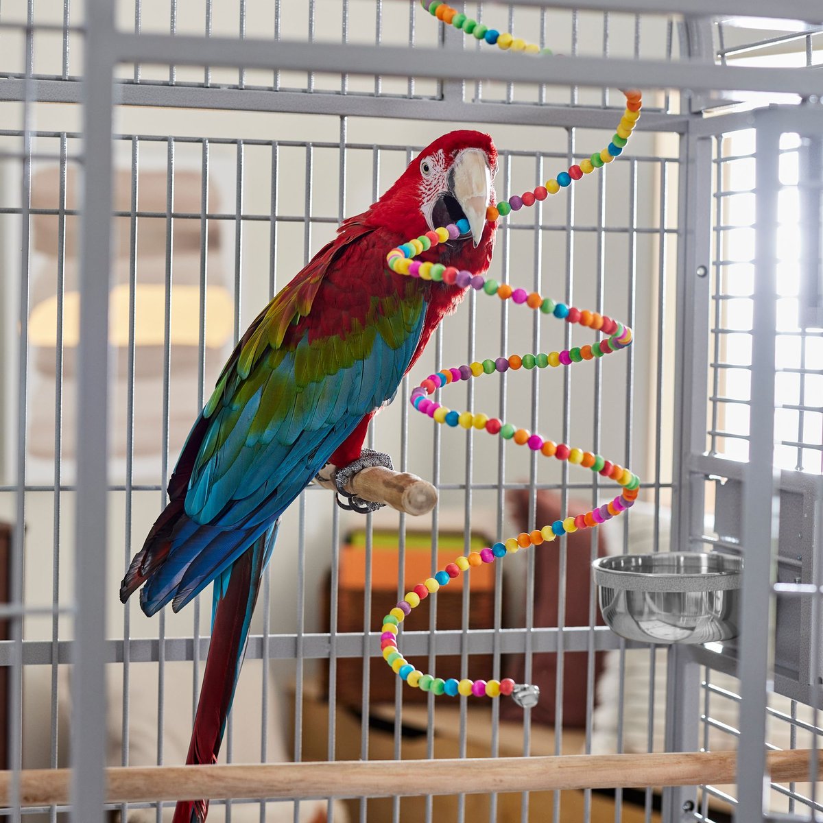 Frisco Twisted Fun Bird Toy