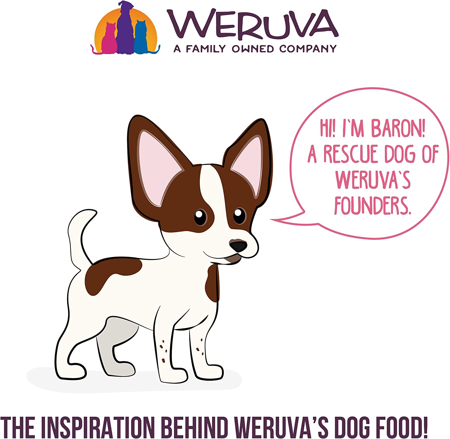 Weruva Amazon Livin' with Chicken and Chicken Liver in Pumpkin Soup Grain-Free Canned Dog Food 14oz Can (Pack of 12)