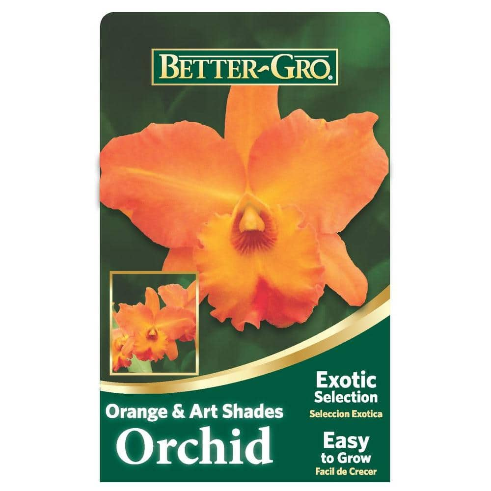 Better-Gro 4 in. Orange Cattleya Packaged Orchid 20323