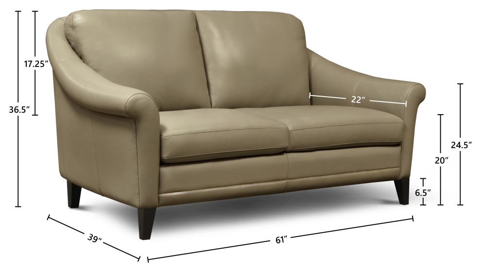 Sienna Genuine Leather Midcentury Modern Loveseat   Midcentury   Loveseats   by Hello Sofa Home  Houzz