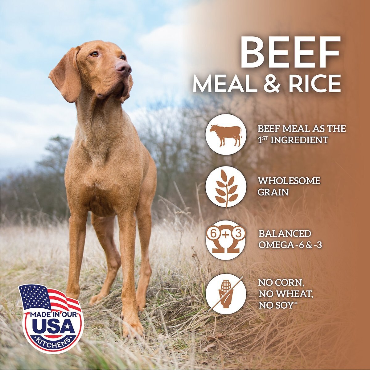 Wholesomes Beef Meal and Rice Formula Dry Dog Food