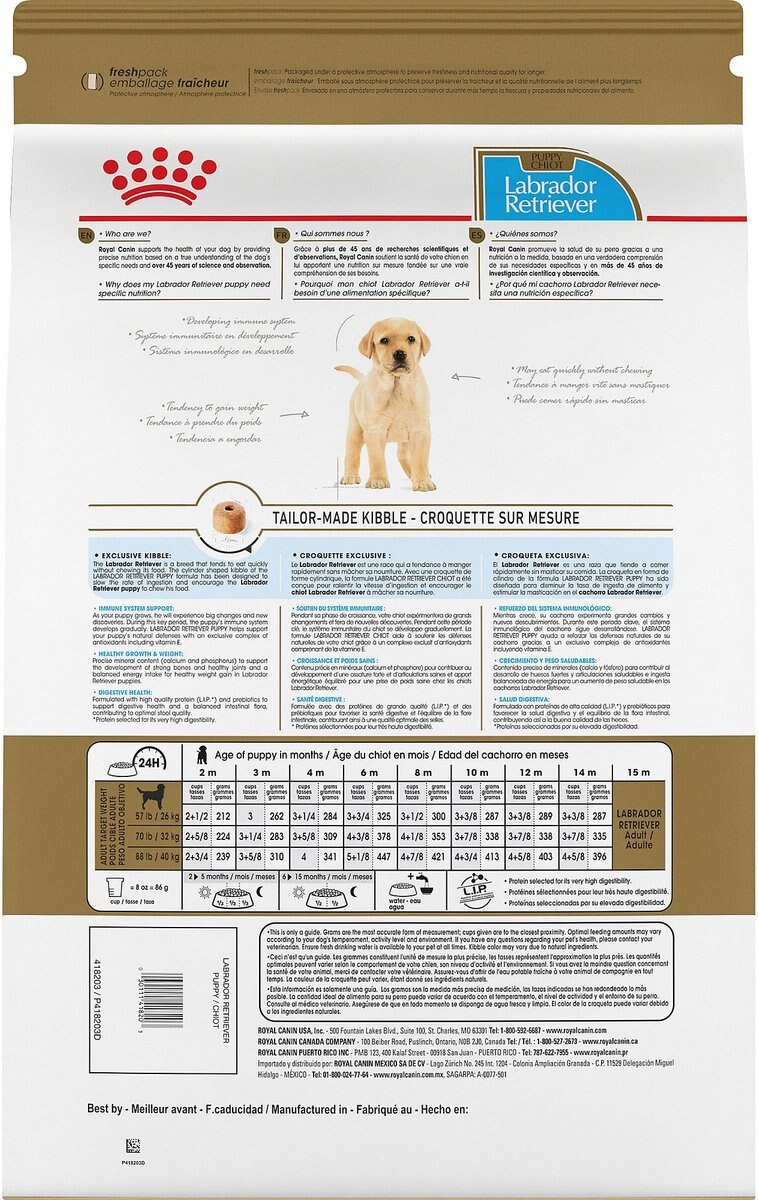 Royal Canin Breed Health Nutrition Labrador Retriever Puppy Dry Dog Food