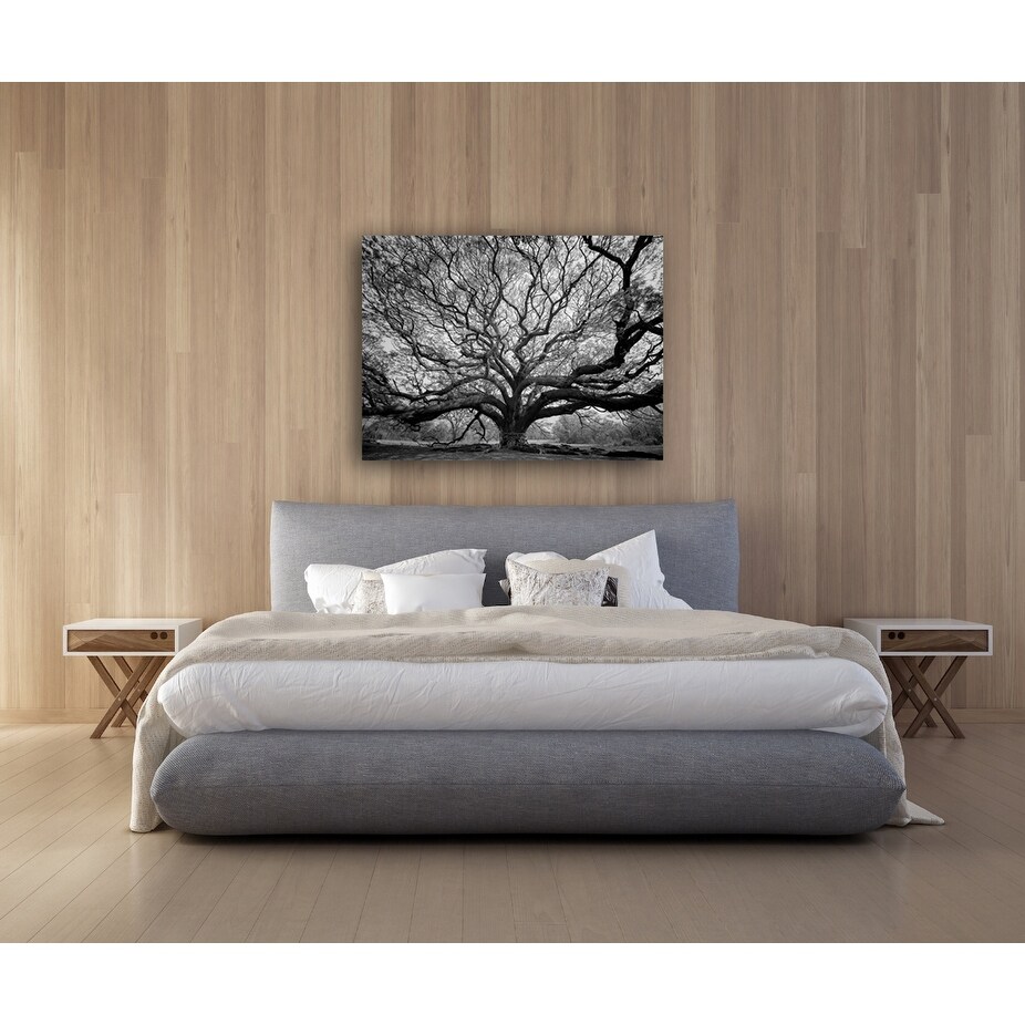 Tree of Wisdom Photography Canvas Art