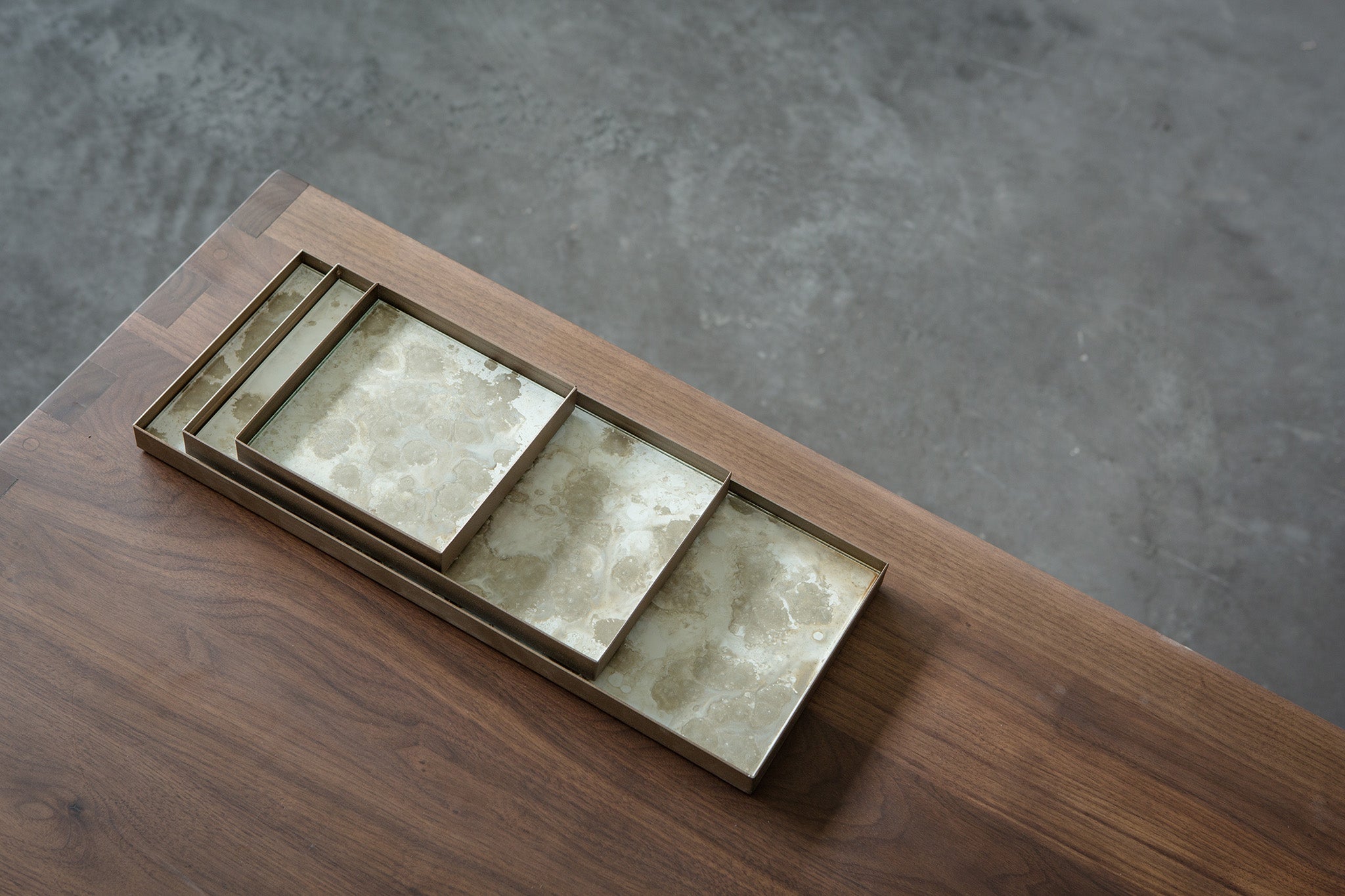 Fossil Organic Rectangular Glass Valet Tray