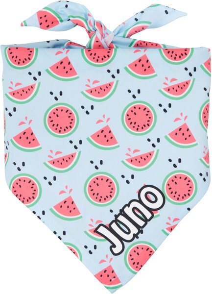 Frisco Watermelons Personalized Dog and Cat Bandana