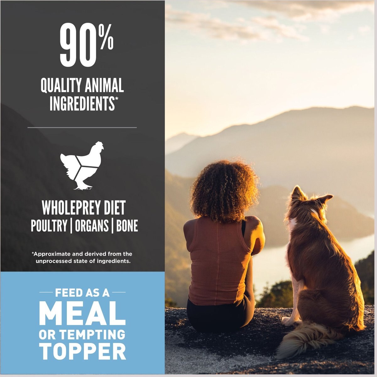 ORIJEN Original Grain-Free Freeze-Dried Dog Food and Topper