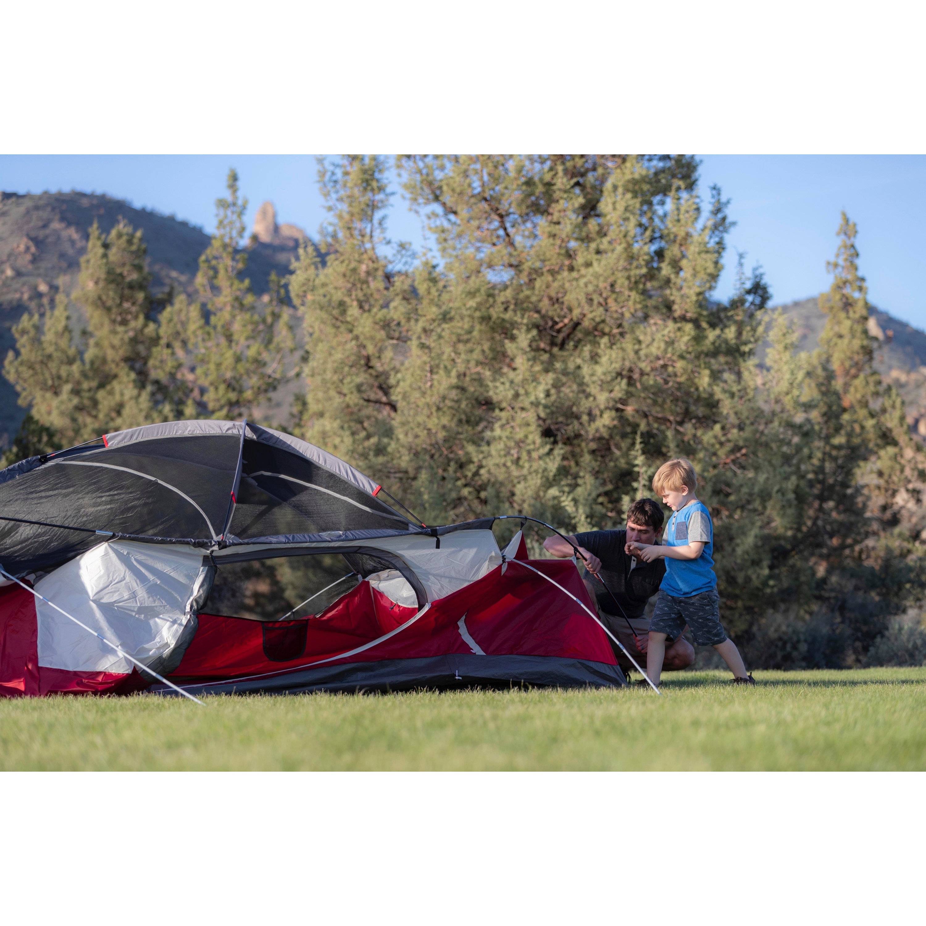 Coleman 8-Person Cimarron Dome-Style Camping Tent