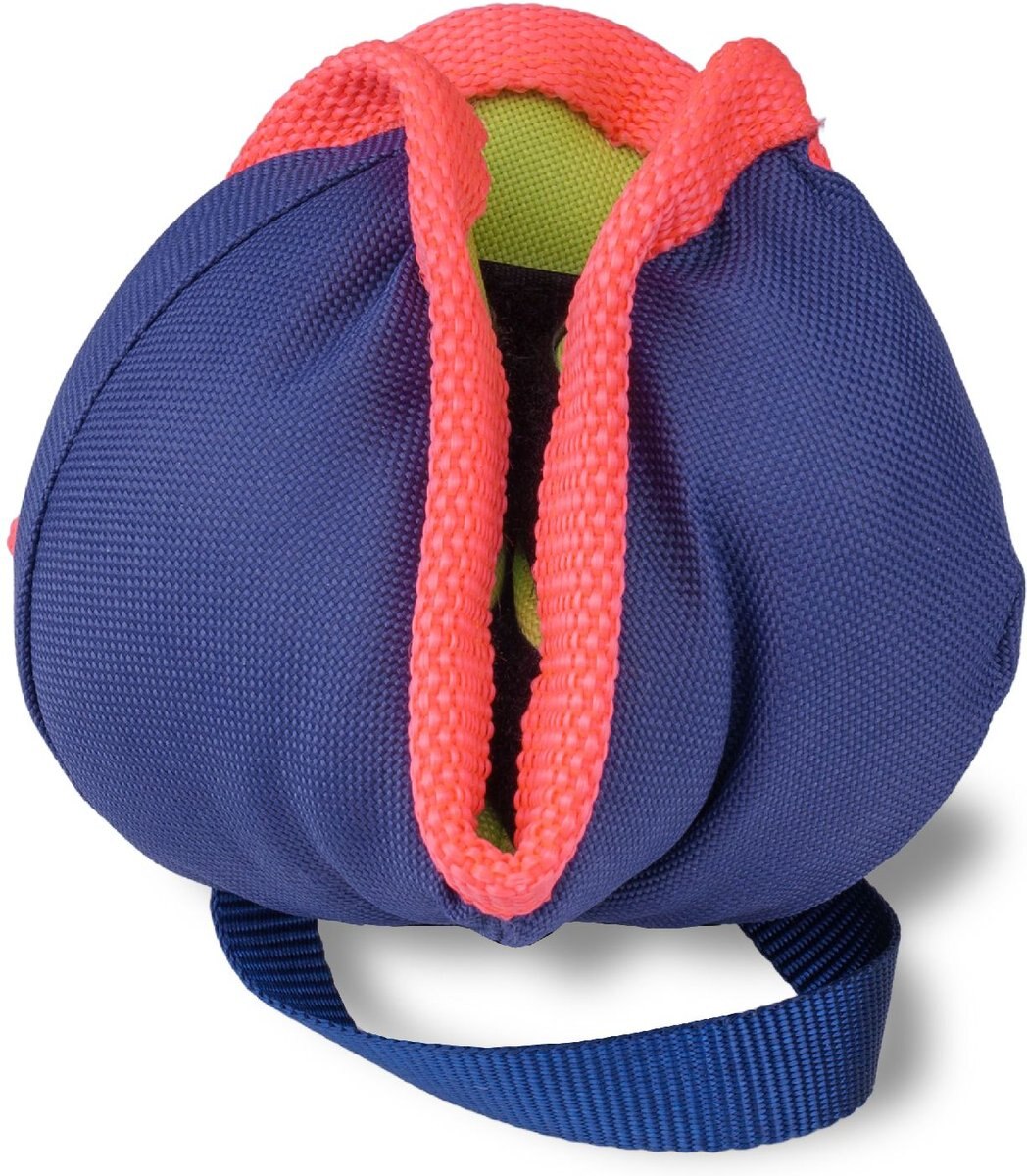 Coachi Chase and Treat Dog Dummy， Navy