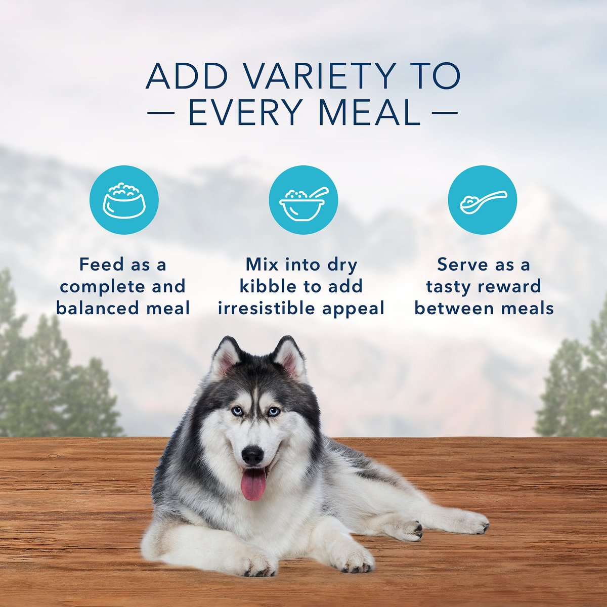 Blue Buffalo Wilderness Rocky Mountain Recipe Red Meat Dinner Senior Grain-Free Canned Dog Food