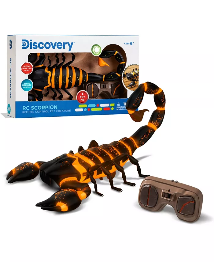 Discovery Kids RC Scorpion  Glow In The Dark Body  Wireless Remote-Control Toy for Kids