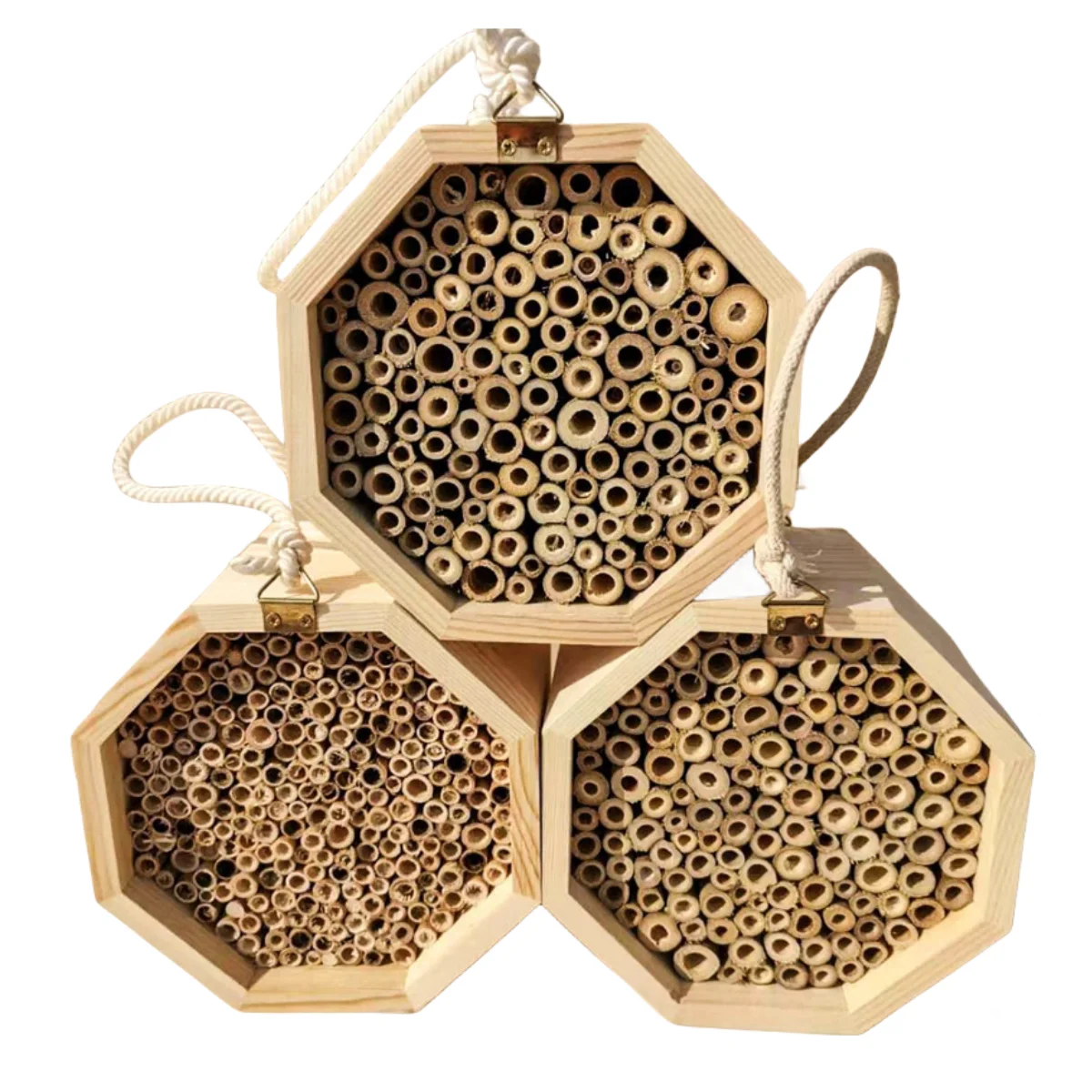 Wooden bee house outdoor lanyard creative insect nest pine bee box combination hive insect house garden supplies