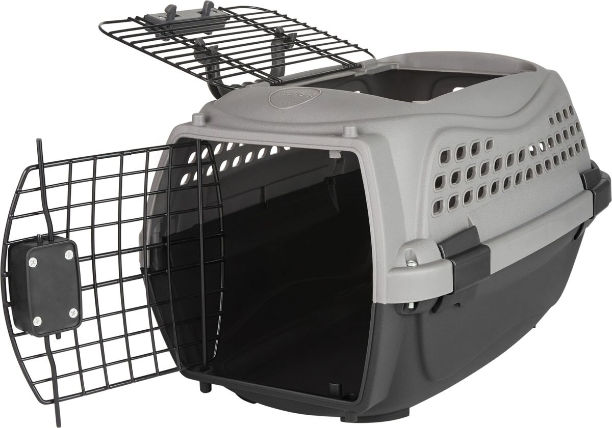 Frisco Two Door Plastic Dog and Cat Kennel