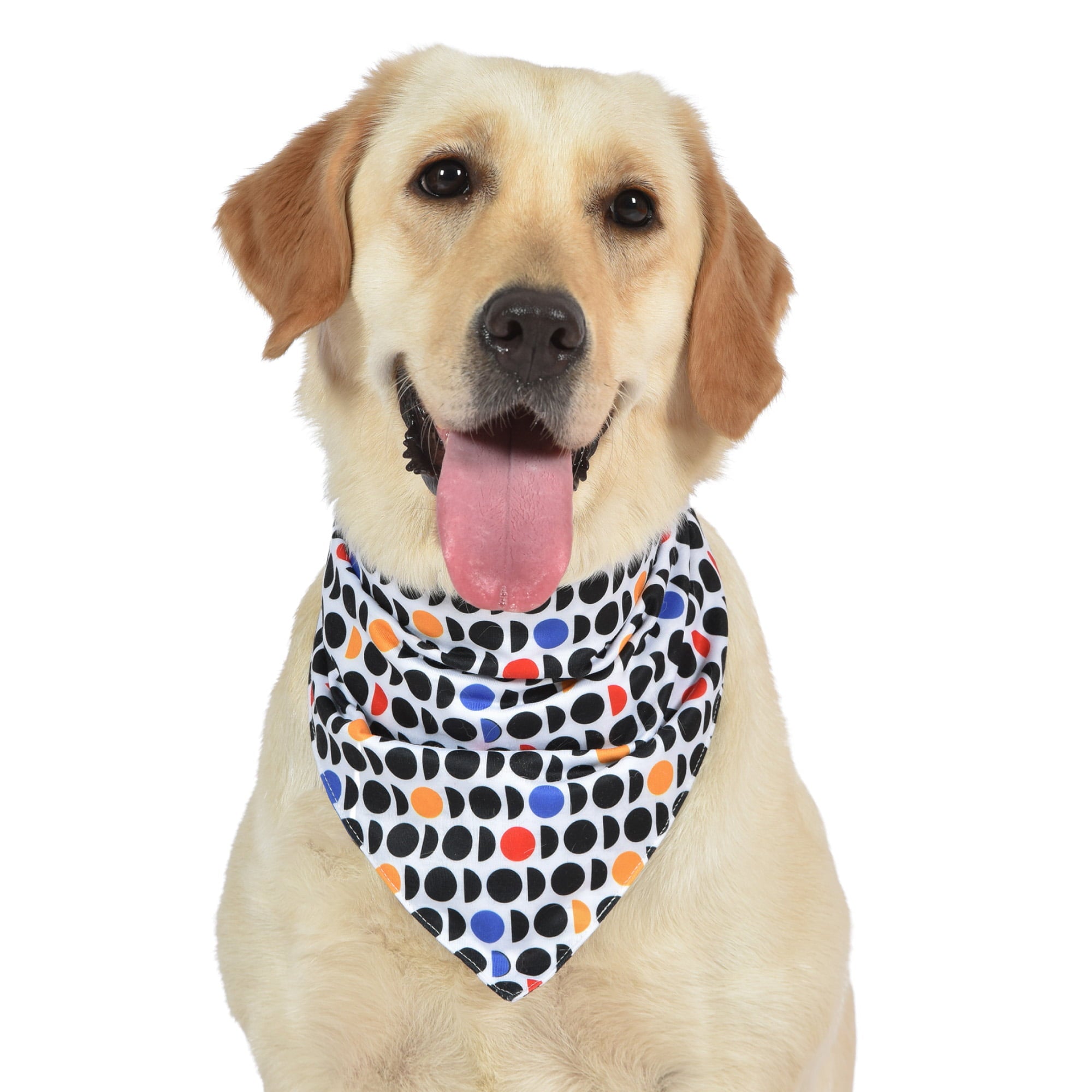 The Dodo Pet Bandanas Everyday Pet Apparel， Cute Doggy Clothes Tie-on One Size