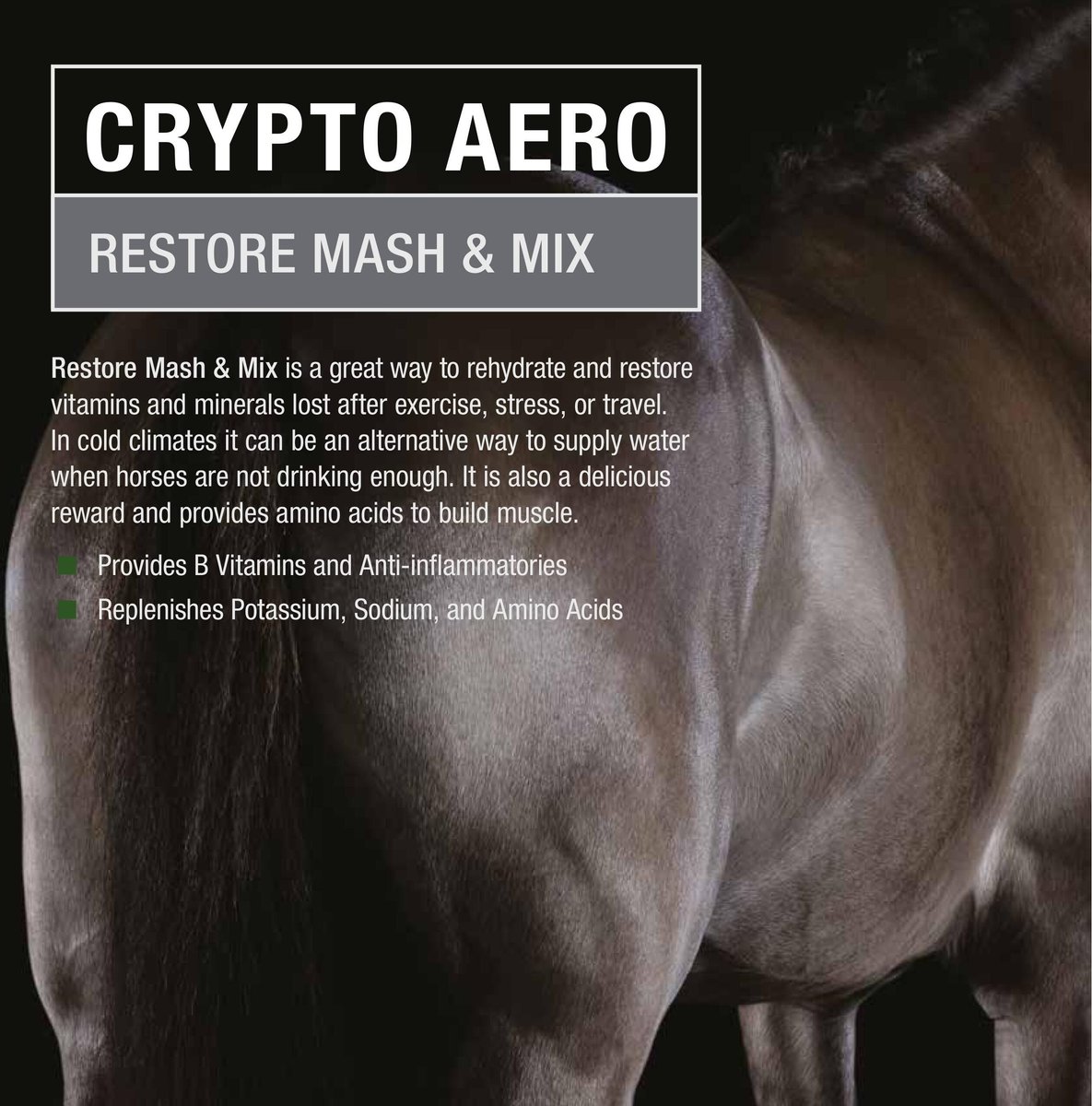 Crypto Aero Restore Mash and Mix Horse Feed