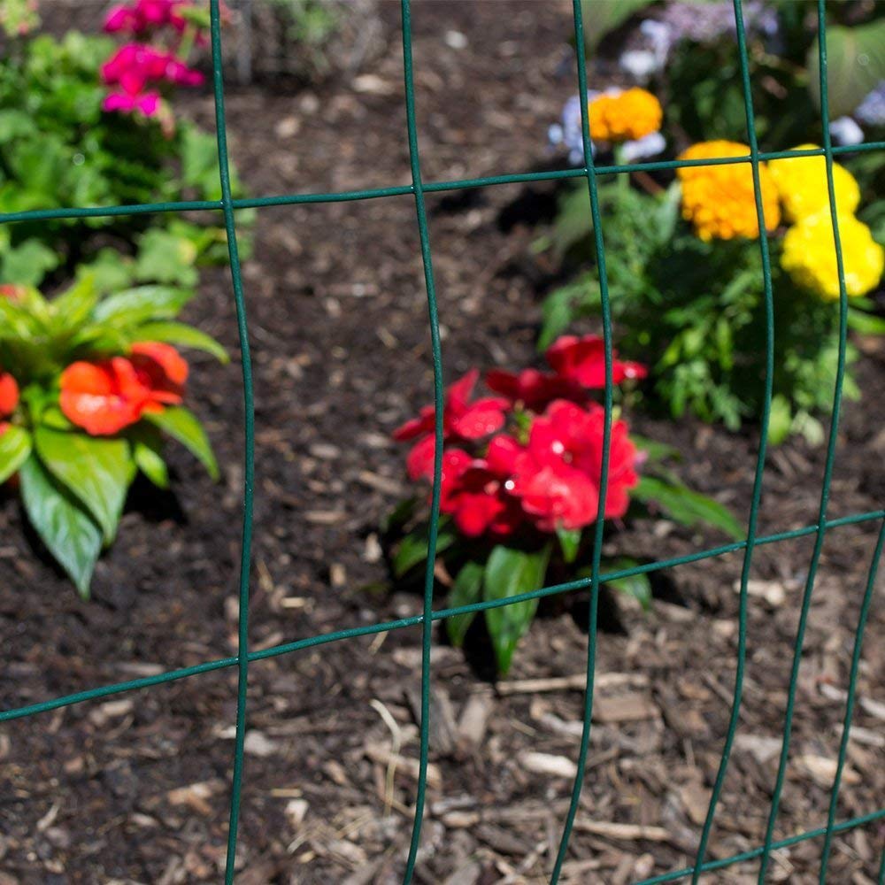 Fencer Wire 16 Gauge Green Vinyl Coated Welded Wire Mesh Size 2 inch X 3 inch (2 ft. x 50 ft.)