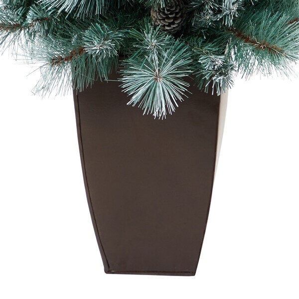 3.5' Brit Columbia Pine Xmas Tree w/50 Lights in Planter