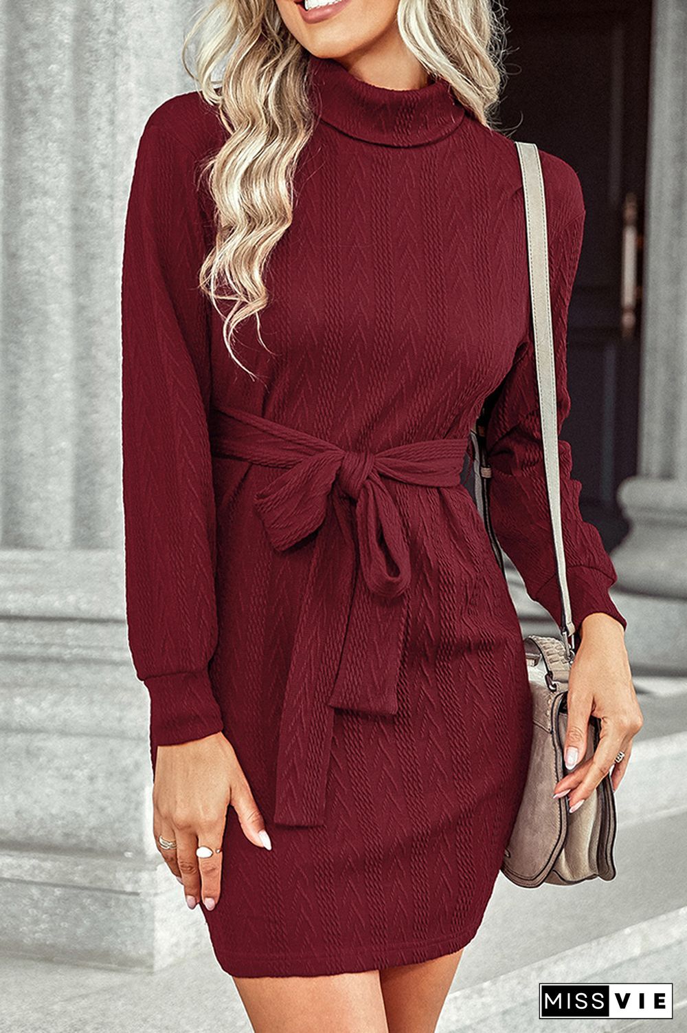 Turtleneck Long Sleeve Knee Length Sweater Dress