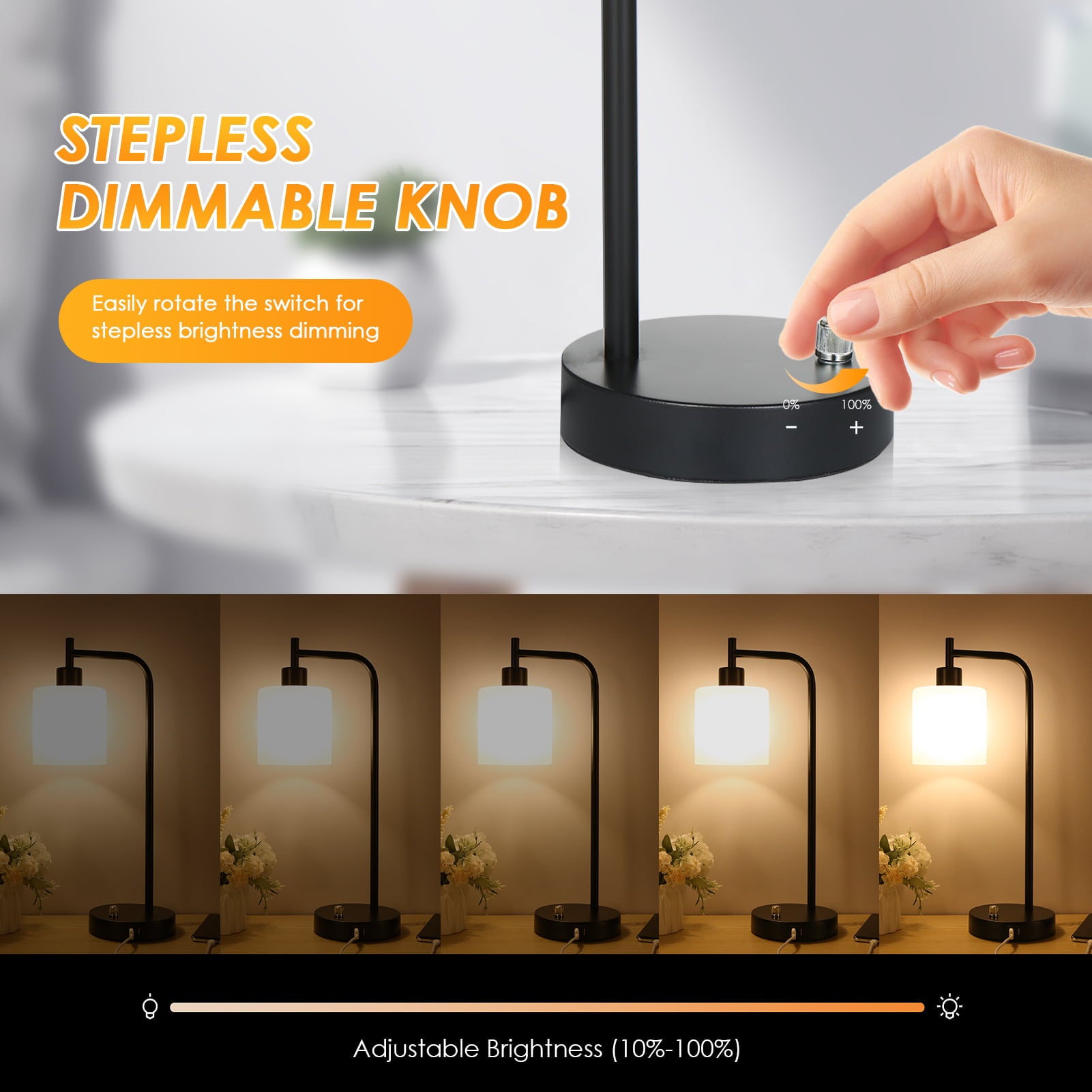 Tomshing Industrial Table Lamp, Stepless Dimmable Nightstand Lamp with 2 USB Ports Glass Shade Vintage Bedside Reading Desk Lamp for Living Room Bedroom Study