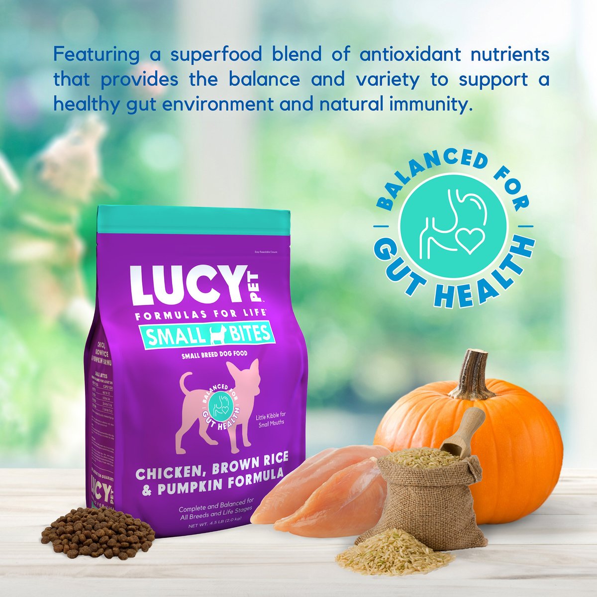 Lucy Pet Products Chicken， Brown Rice and Pumpkin Limited Ingredient Diet Small Bites Dog Food， 4.5-lbs bag