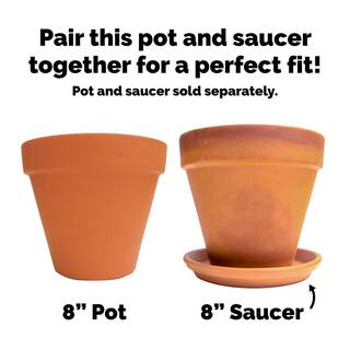 Pennington 8 in. Medium Terra Cotta Clay Pot 100043015