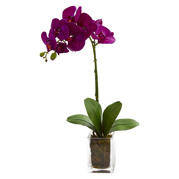 Nearly Natural 24 in Orchid Phalaenopsis Artificial Arrangement In Vase