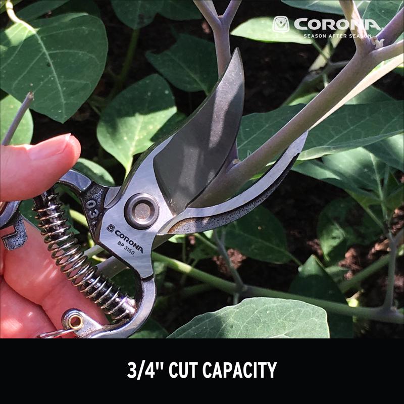 CORONA BY-PASS PRUNER 8