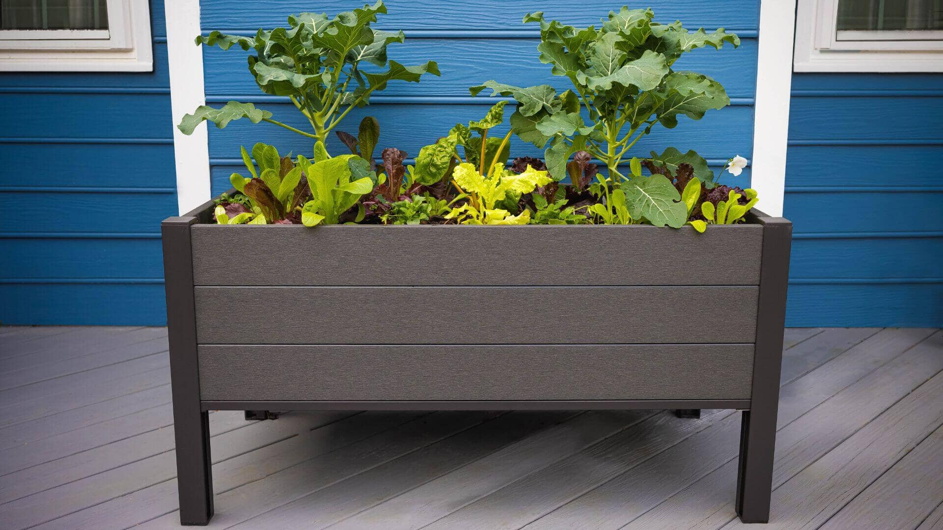 The Skyline Planter (24” x 48” x 25”) Elevated Garden Bed