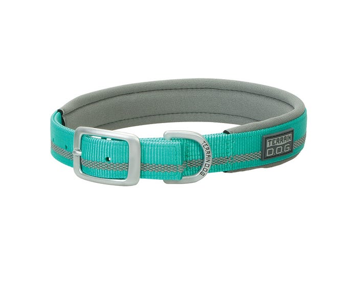 Terrain D.O.G. Reflective Neoprene Lined Collar， Mint， 1