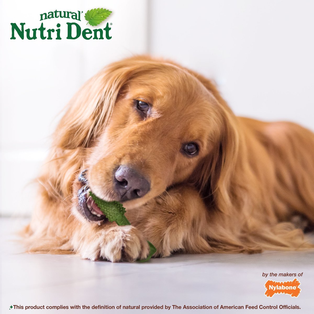 Nylabone Nutri Dent Limited Ingredients Large Fresh Breath Natural Dental Dog Treats， 20 count