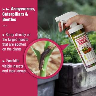 ECOVENGER Garden Insect Control by EcoRaider 16 oz. Aphids Mealybugs Spider Mites Army Worm ChildPet-Safe EV1GM140016