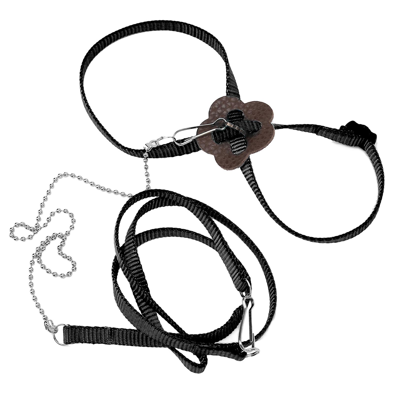 Lizard Reptile Lizard Harness Adjustable Walking Lead Control Traction Rope For Reptiles Outdoor Carrying Walkingblack