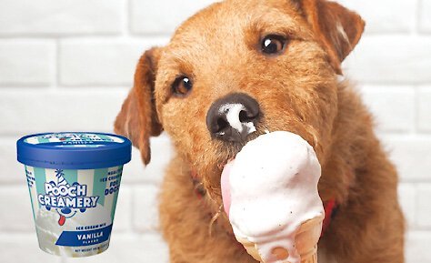 Pooch Creamery Vanilla Flavor Ice Cream Mix Dog Treat