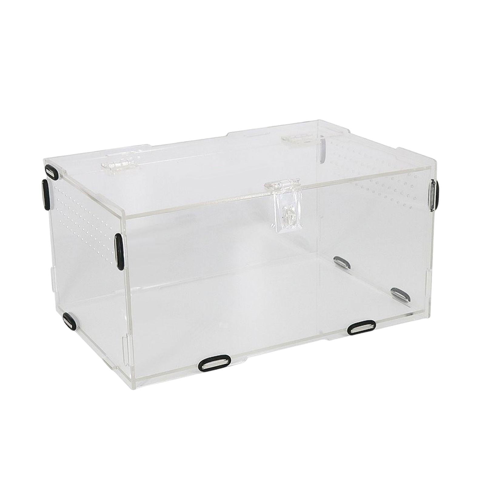 Reptile Breeding Box Carrier Hamster Feeding Cage Habitat Feeding Box Acrylic Transport Reptile Terrarium for Invertebrates Isopods Snake