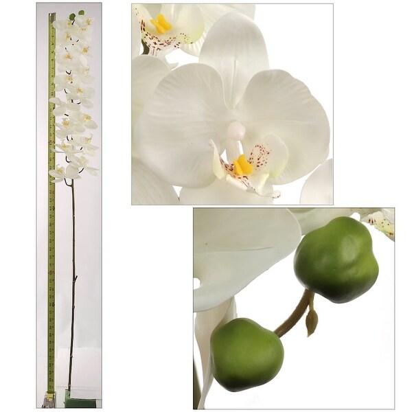 Phalaenopsis Orchid 48 Inch with 16 Real Touch Silk Blooms