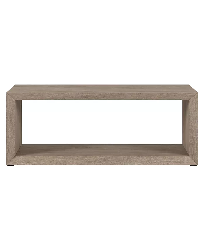 Hudson and Canal Osmond 48 Wide Rectangular Coffee Table