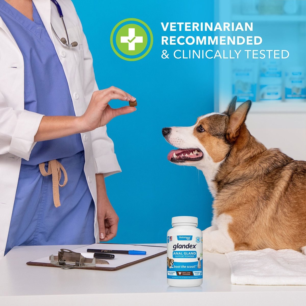 Vetnique Labs Glandex Anal Gland and Probiotic Beef Liver Flavored Pumpkin Fiber and Digestive Powder Supplement for Dogs and Cats