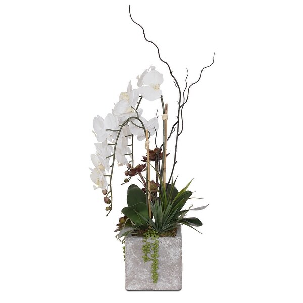 Real Touch White Orchid with Succulent Arrangement in Square Stone Pot