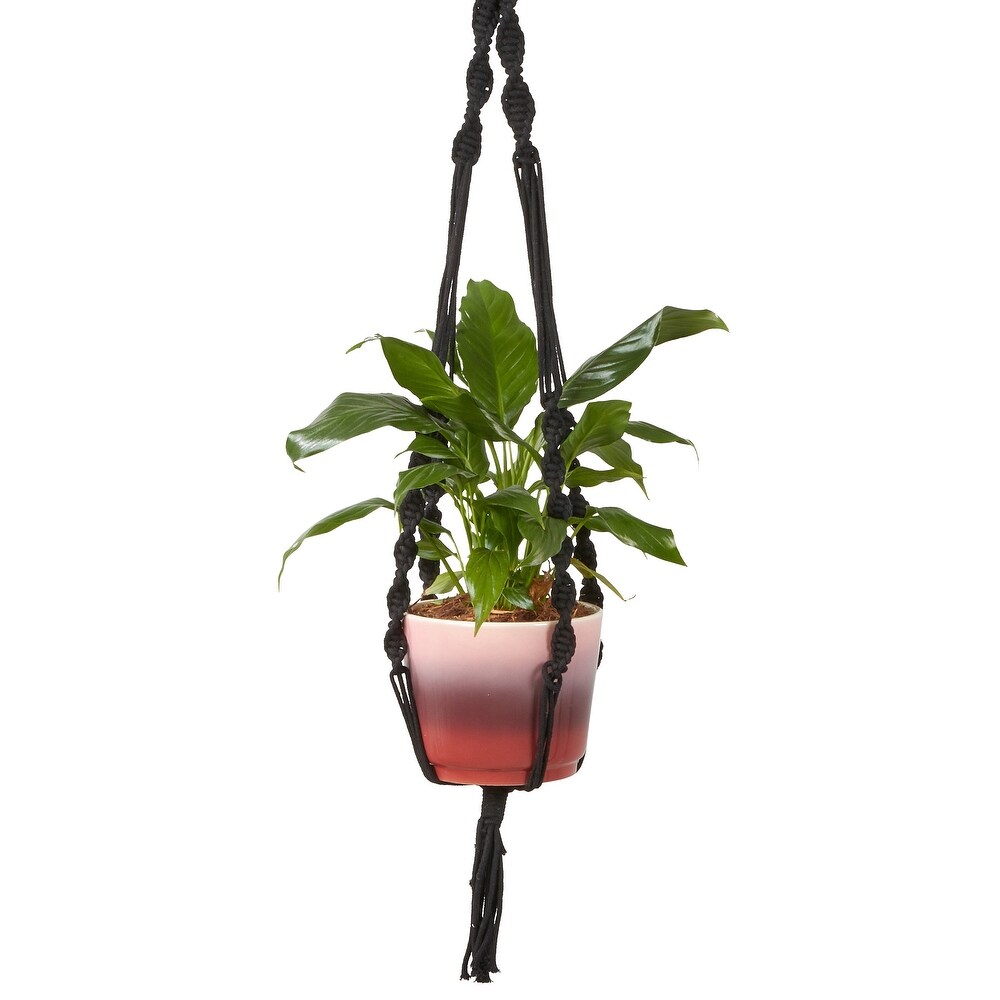 Plant Hanger With Macramé Design