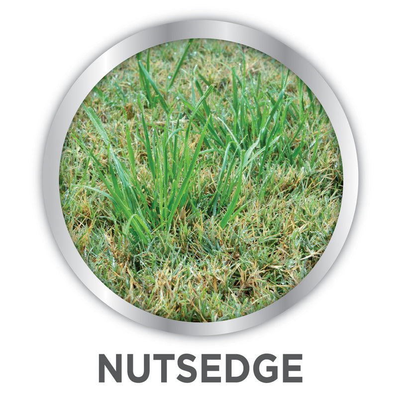 IMAGE NUTSEDGE RTS 32OZ