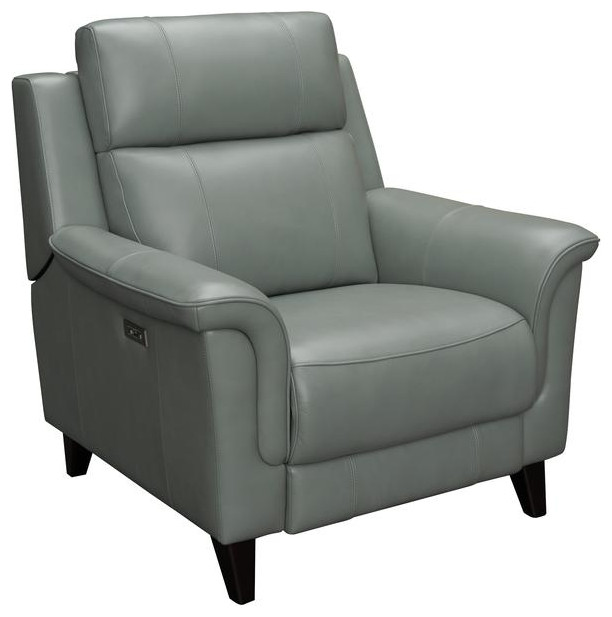 9PH 3716 Kester Power Recliner  Mint   Contemporary   Recliner Chairs   by BisonOffice  Houzz