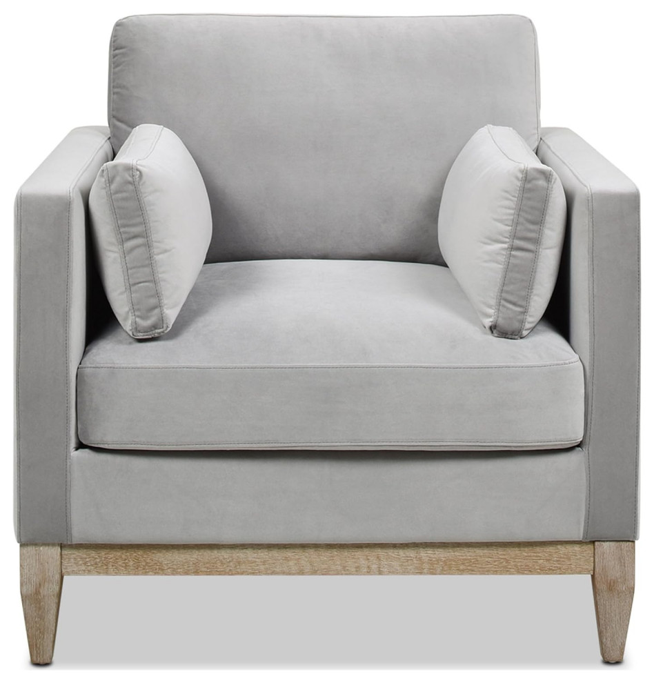 Modern Accent Chair  Removable/Reversible Cushioned Velvet Seat   Modern   Armchairs And Accent Chairs   by Decor Love  Houzz