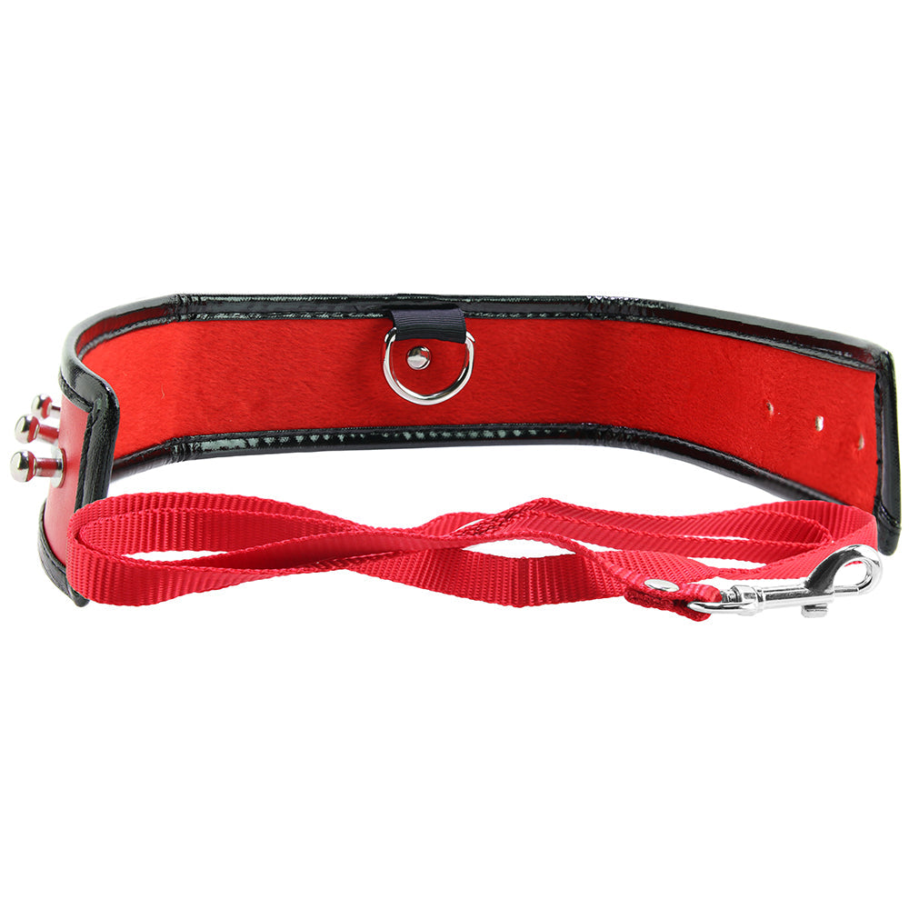 Red Leash and Collar