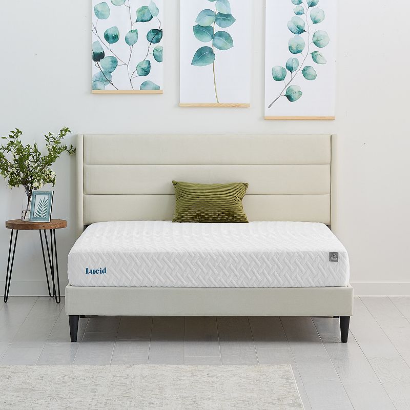 Lucid Dream Collection 8 Plush Memory Foam Mattress