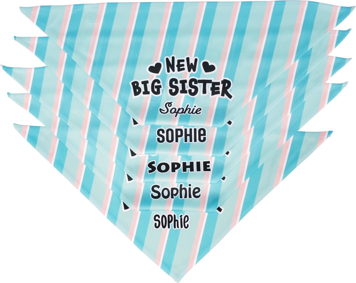 Frisco Big Sister Personalized Dog and Cat Bandana