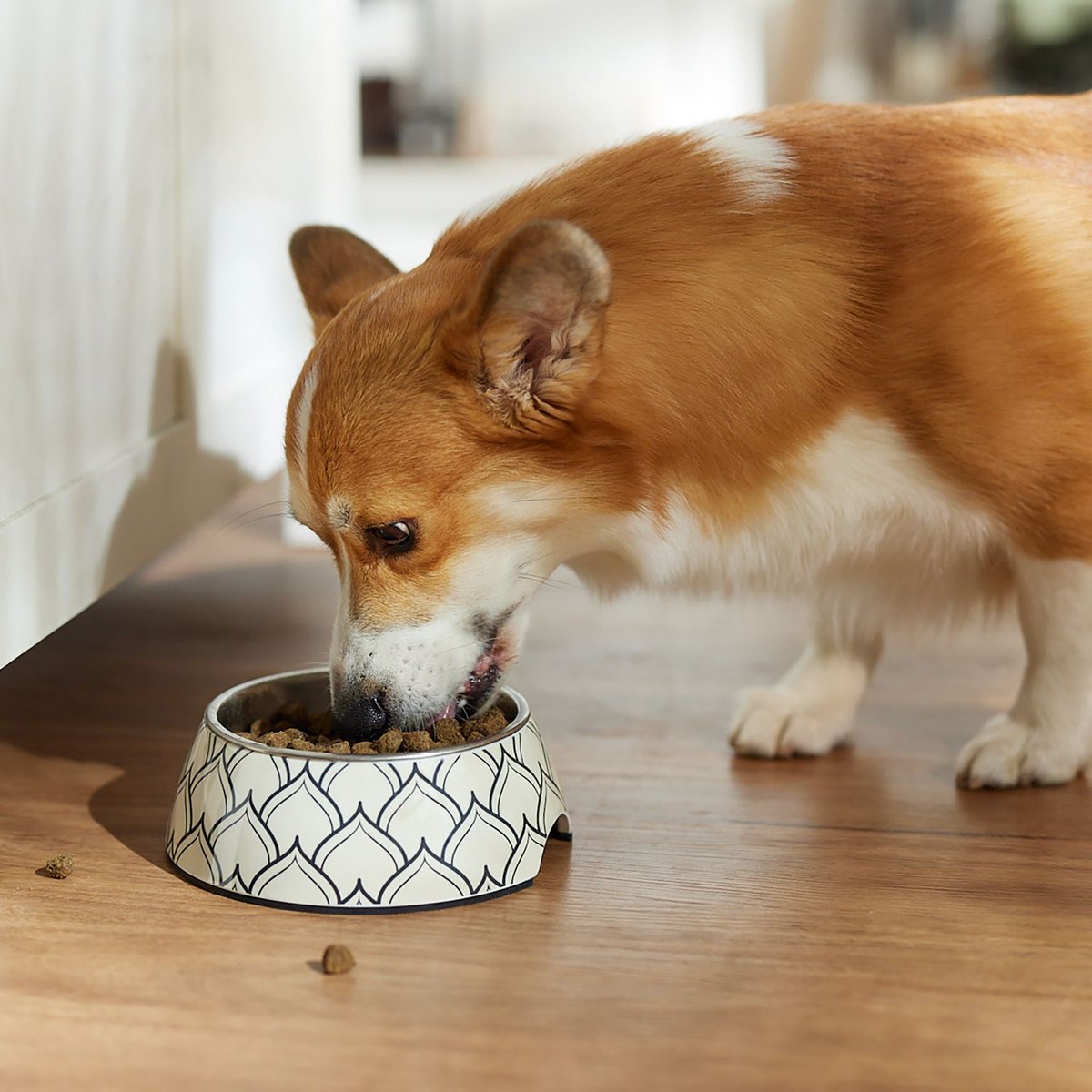 Earthborn Holistic Unrefined Smoked Bison w/Ancient Grains and Superfoods Dog Dry Food