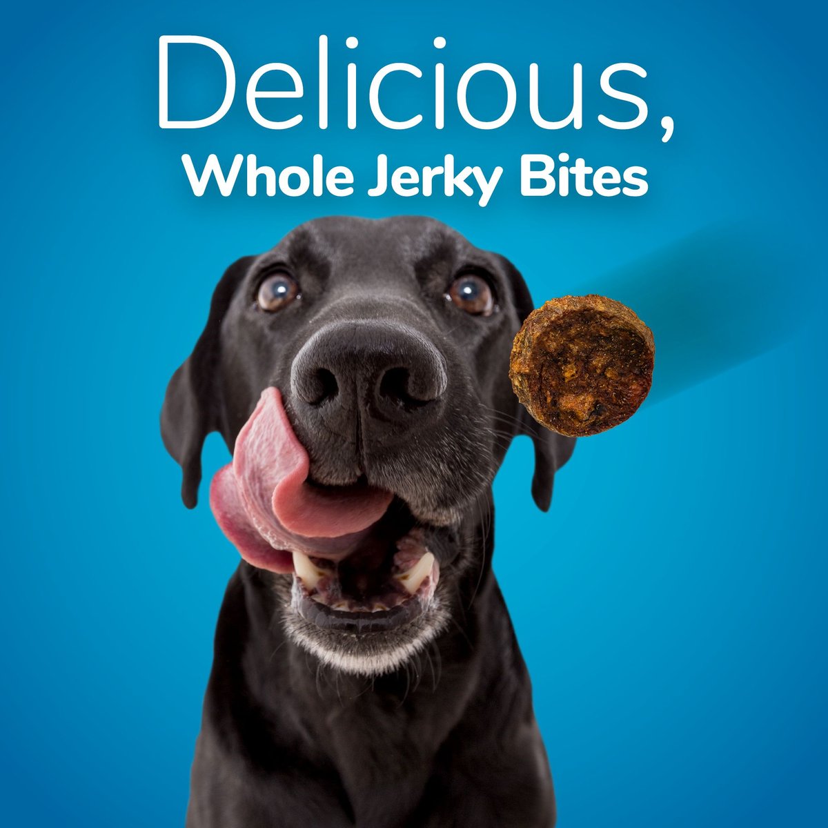 Fruitables Whole Jerky Bites Turkey and Sweet Potato Dog Treats