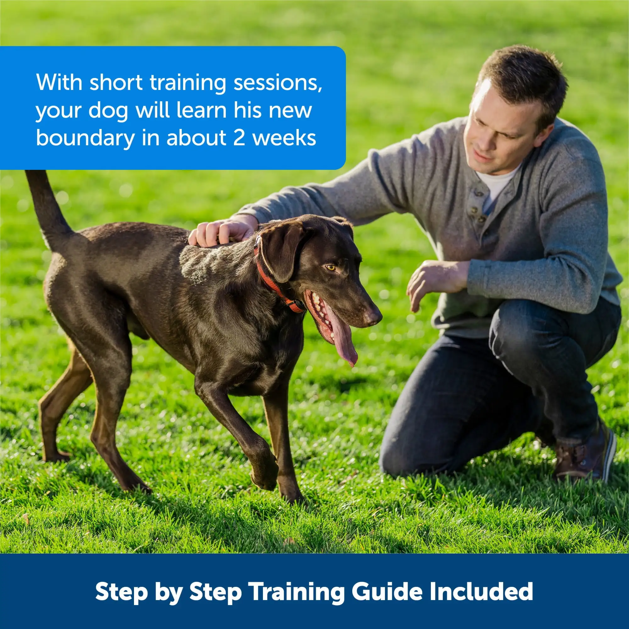 PetSafe Stubborn Dog Stay and Play Wireless Fence Receiver Collar， Waterproof， Rechargeable