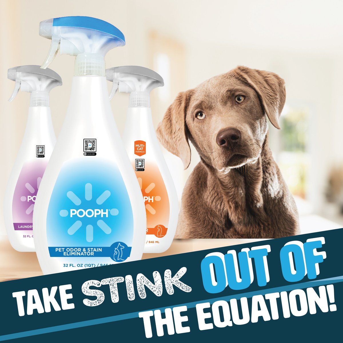 POOPH Cat and Dog Odor and Stain Eliminator