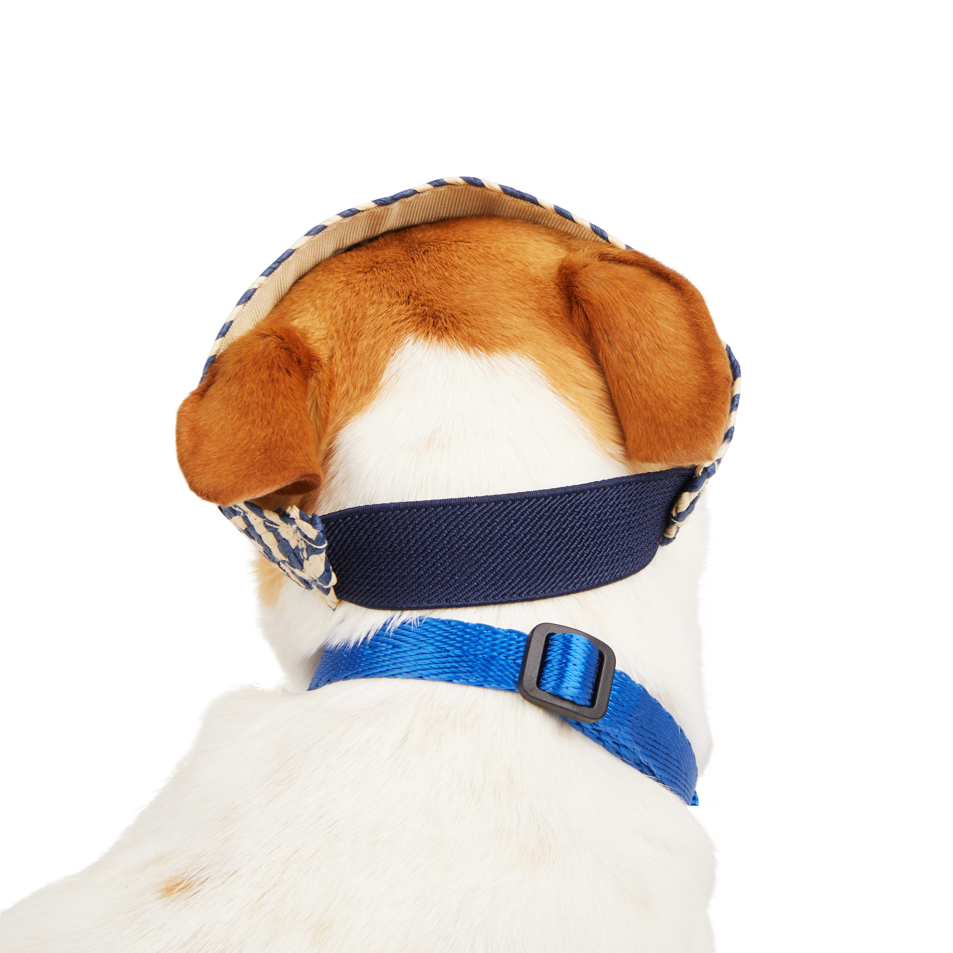 YOULY Straw Visor for Dogs， Large/X-Large